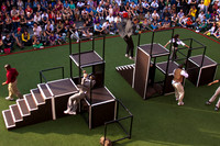Parkour Urban Playground