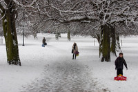 Snow Scene