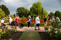 Round The Roses