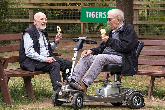 Friends Having an Ice-cream