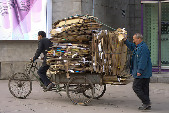 Cardboard Carrier
