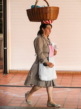 Basket Carrier