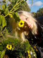 Sunflower Eye
