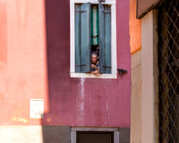 Peering from a Window