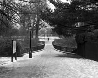 Figure In The Snow