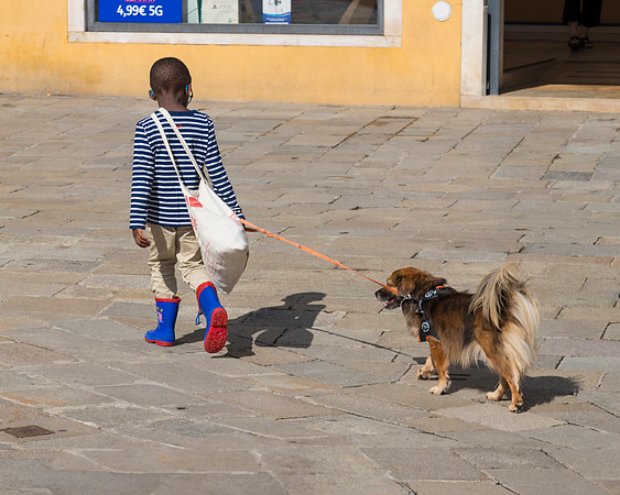 Boy and his Dog