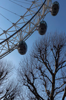 Millenium Wheel - And Leafless Trees