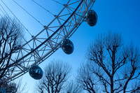 Millenium Wheel - Tree Silhouettes