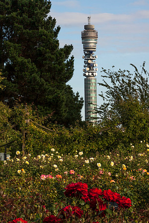 Telecom Tower - From the Park