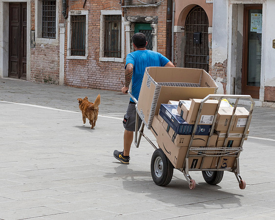 The Dog And The Courier