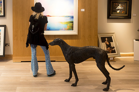 Gallery Dog