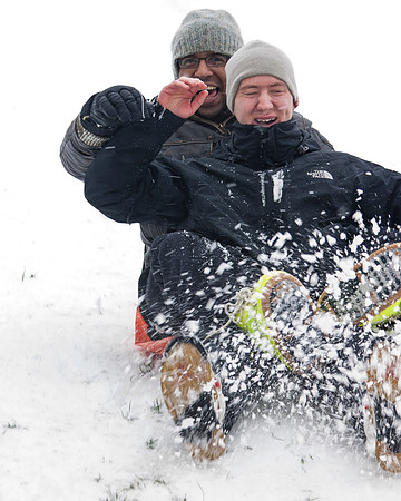 Sledging Fun