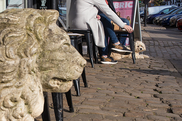 Lion Statue and the Poodle