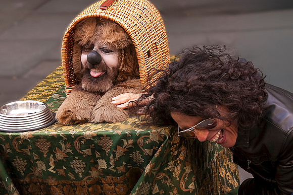 Funny Dog
