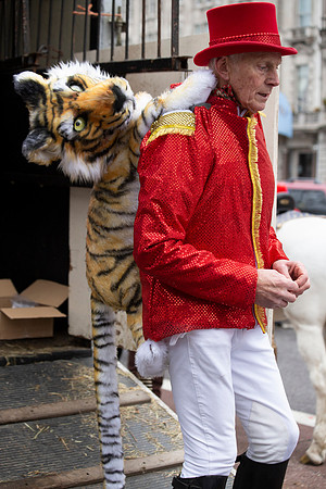 Tiger Tamer