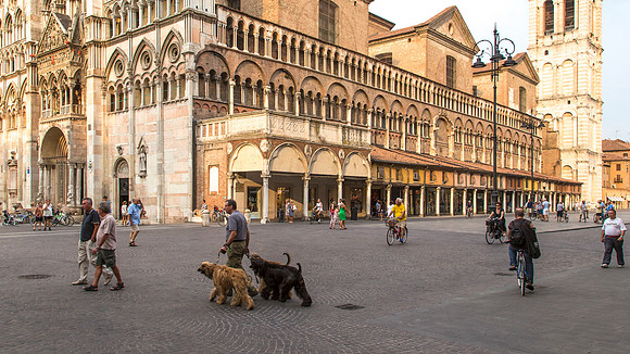 Dog Walk In The Square