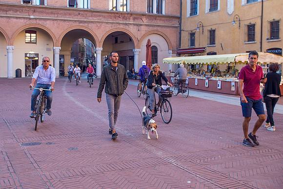 Walking A Beagle