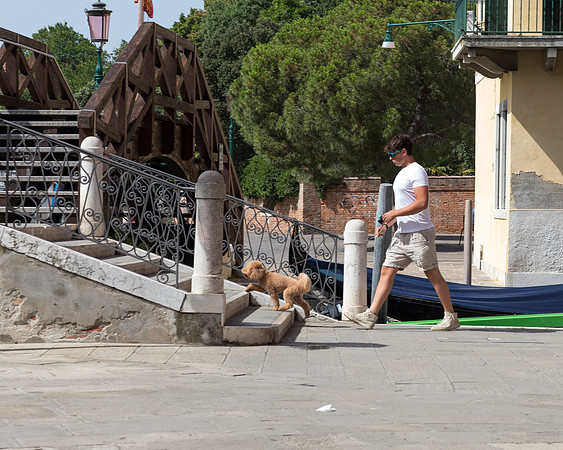 Venice Bridge