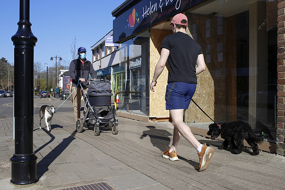 The Dog Walkers