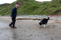 Sheep Dog On The Beach