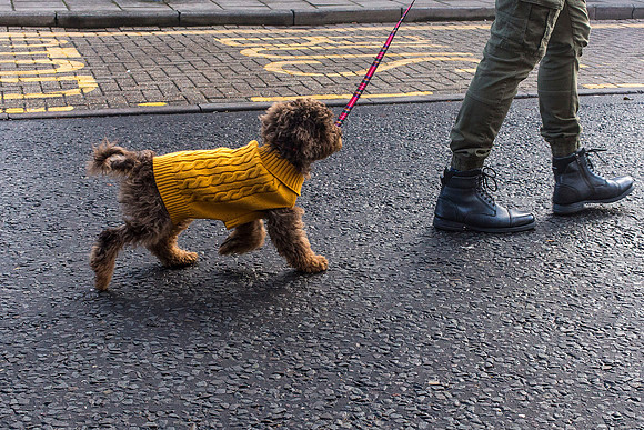 Knitted Jacket
