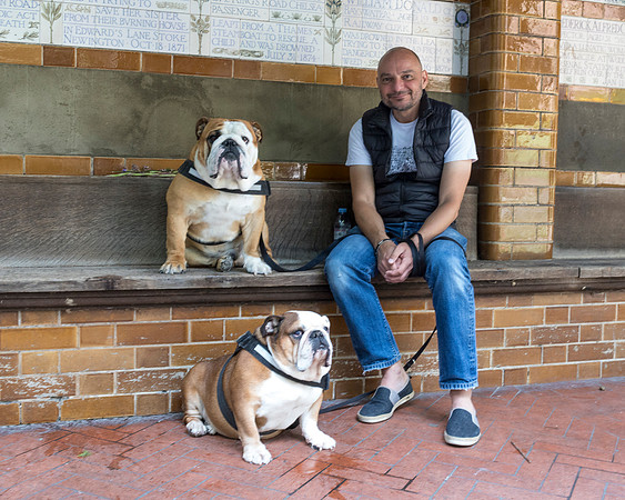 Adam And His Bull Dogs