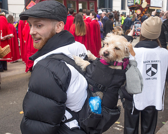 Dog In Backpack