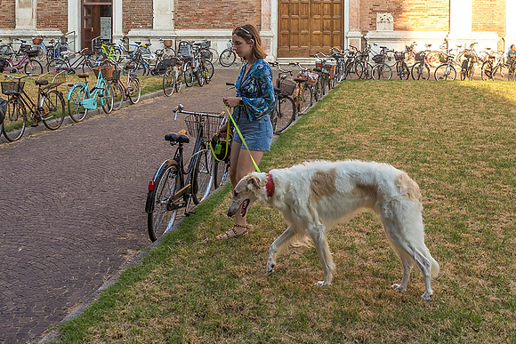In Front Of Bikes And Church