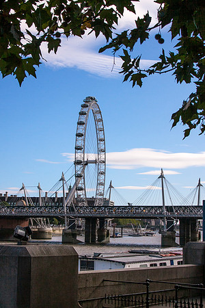 _MG_2449-2