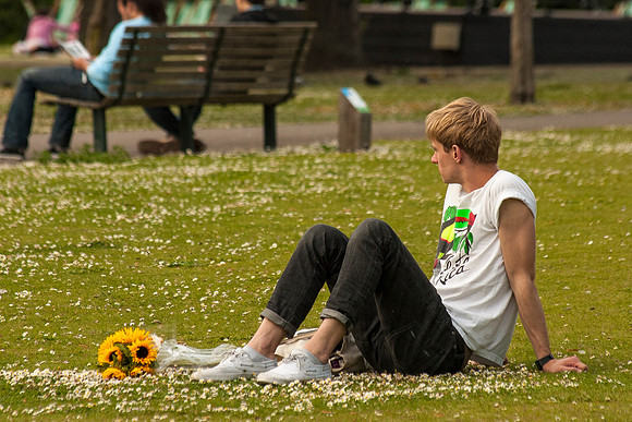 Sunflowers