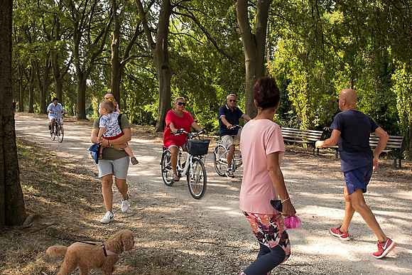Busy On The Path