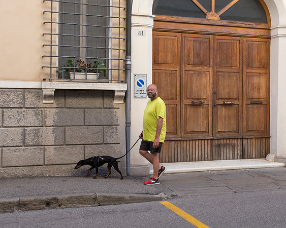 Evening Dog Walk