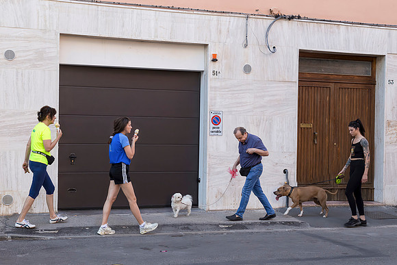 Dog Walkers & Ice-Cream