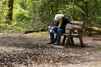 Reading In the Woods