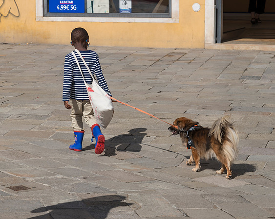 Young Dog Walker