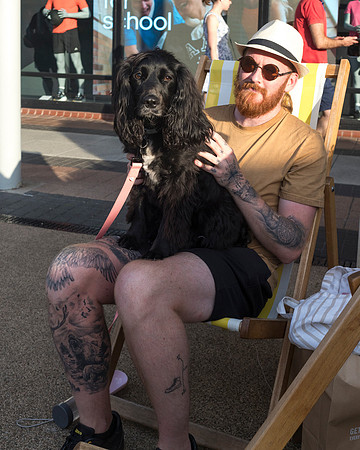 Deckchair Dog