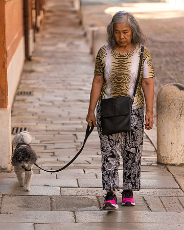 In Thought Dog Walk
